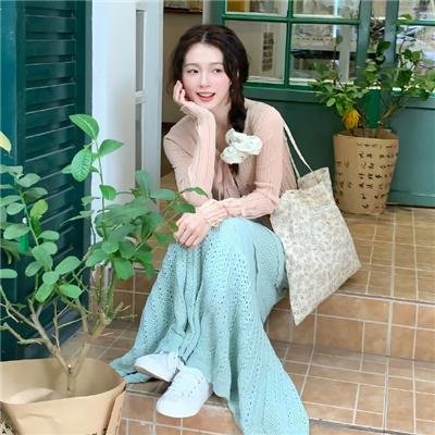 苹果小镇的国王