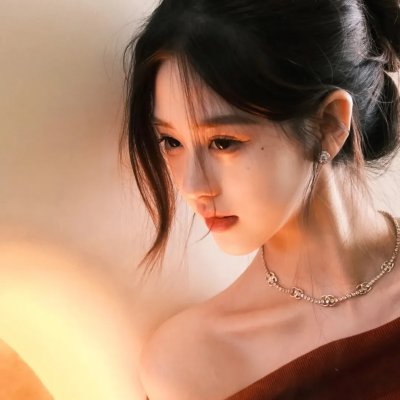 模范警察