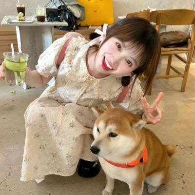 维特